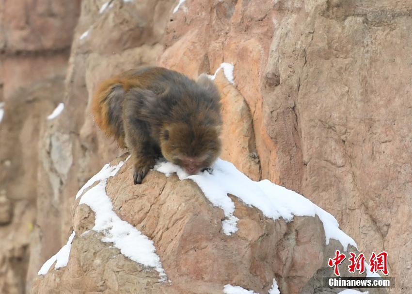 南昌各地喝茶资源、缄口结舌,南昌喝茶的welcome新2登录的联系方式