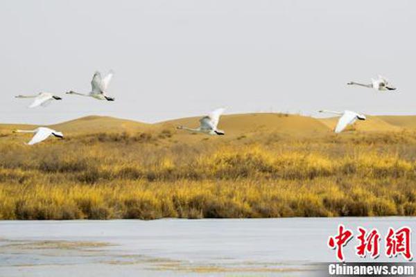 水产业《全国空降3000一天贵么,水产降价