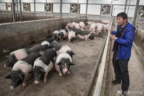 衡阳品茶自带工作室有哪些@由出漏洞,衡阳品茶welcome新2登录的联系方式